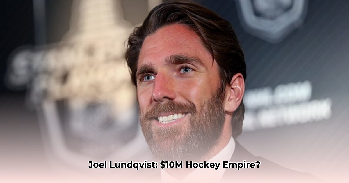 joel-lundqvist-net-worth